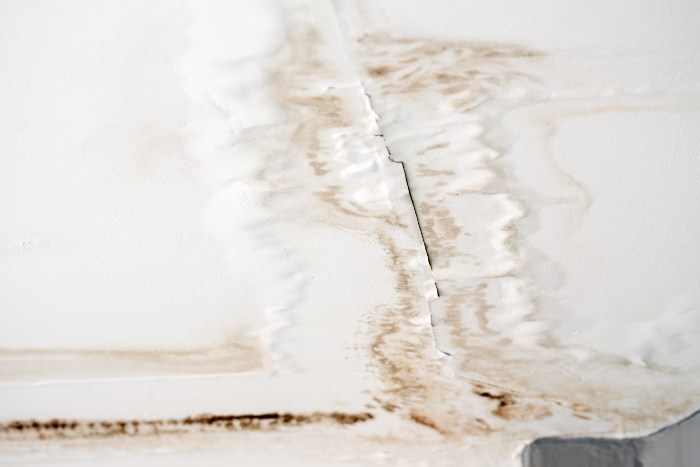 The dangers of water damage and useful prevention tips to protect your home and property