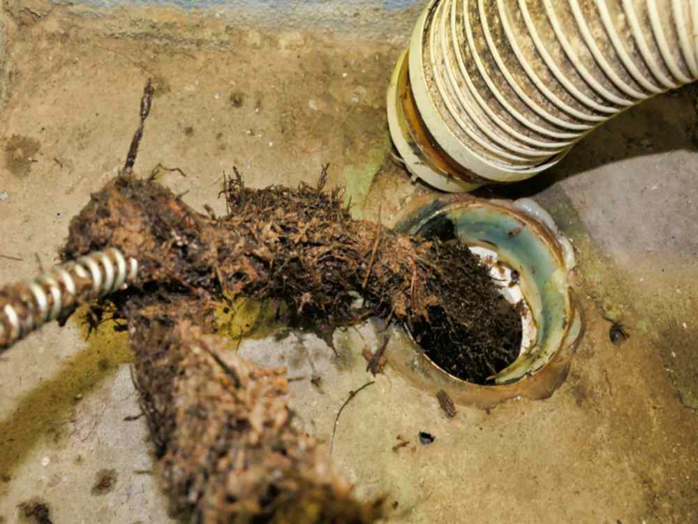 Tree root intrusion assessment and underground pipe repair in Naperville, IL